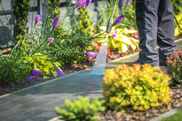 Best Residential Pressure Washing in Arrowhead Beach, NC
