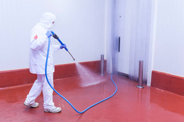 Best Parking Lot Cleaning in Arrowhead Beach, NC