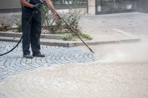Best Gutter Cleaning and Brightening in Arrowhead Beach, NC