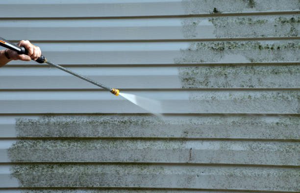 Best Oil and Grease Removal from Surfaces in Arrowhead Beach, NC