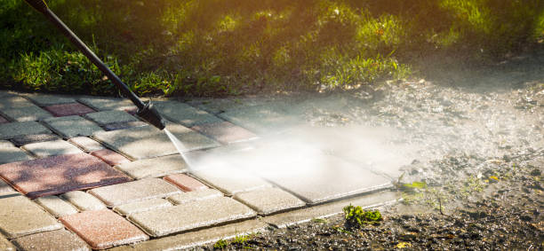 Best Roof Cleaning and Mildew Removal in Arrowhead Beach, NC